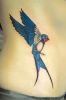 Filename=Swallow_Torso_seitlich.jpg
Filesize=91KB
Dimensions=569x850
Date added=Dec 26, 2009 Swallow_Torso_seitlich.jpg