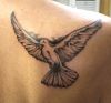 Filename=Taube_Schulter_tattooartpablo.jpg
Filesize=829KB
Dimensions=850x791
Date added=Nov 29, 2012 Taube_Schulter_tattooartpablo.jpg